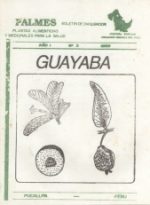 guayaba