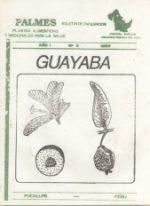 guayaba